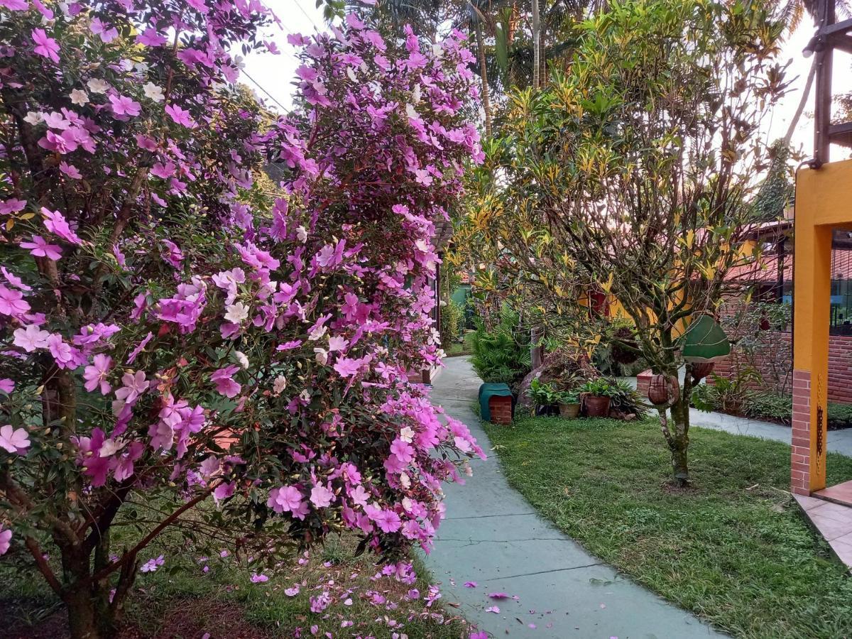 Recanto Das Flores Lofts - Ilha Grande Rj Bagian luar foto