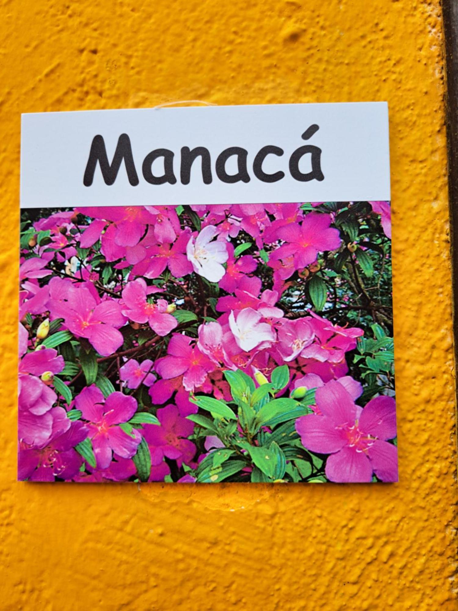 Recanto Das Flores Lofts - Ilha Grande Rj Bagian luar foto