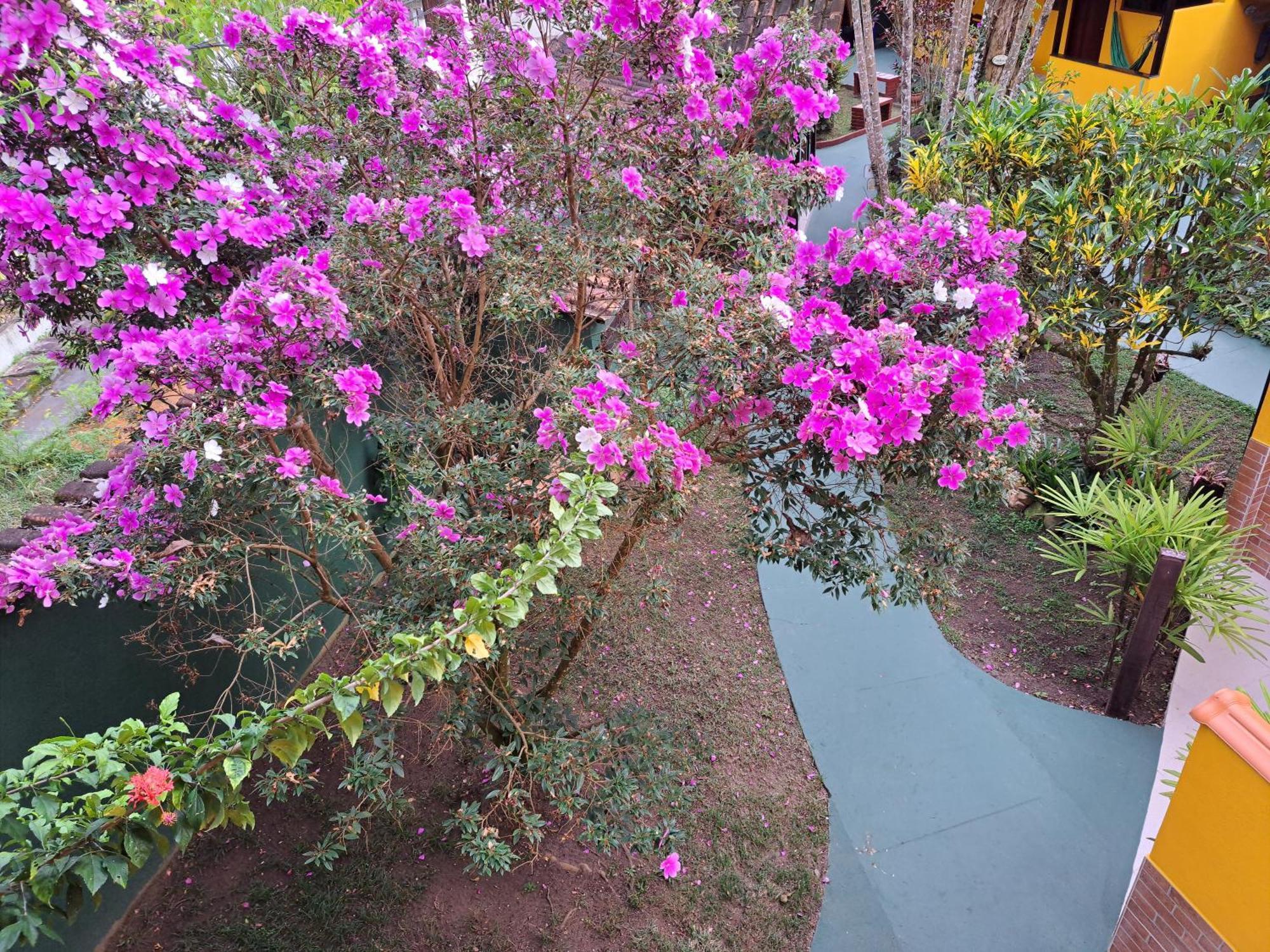Recanto Das Flores Lofts - Ilha Grande Rj Bagian luar foto